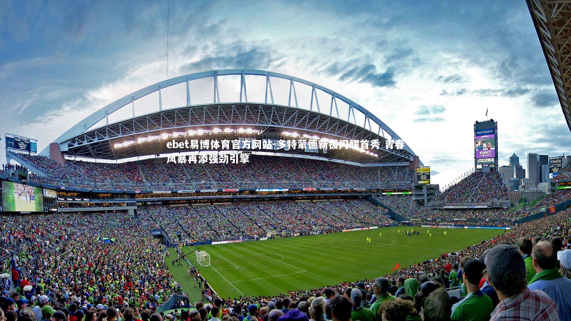 多特蒙德新援闪耀首秀 青春风暴再添强劲引擎