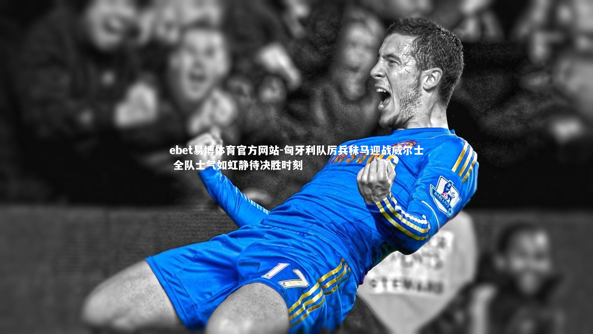 匈牙利队厉兵秣马迎战威尔士 全队士气如虹静待决胜时刻